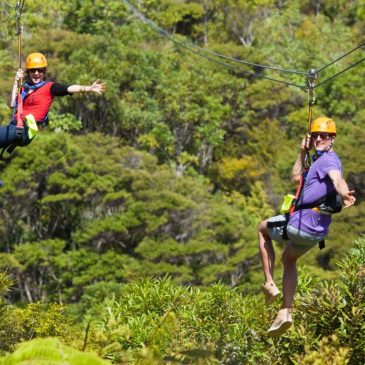 Flying high on a zip wire